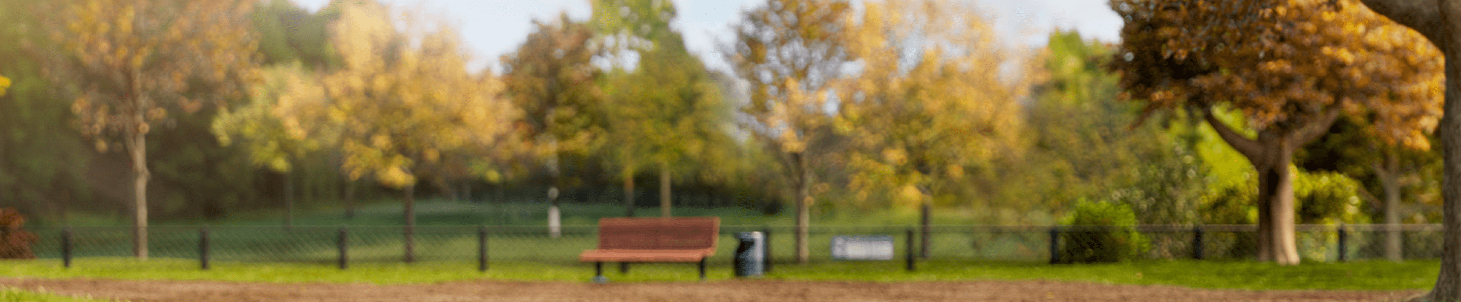 Blurred park scene with a bench and trees.