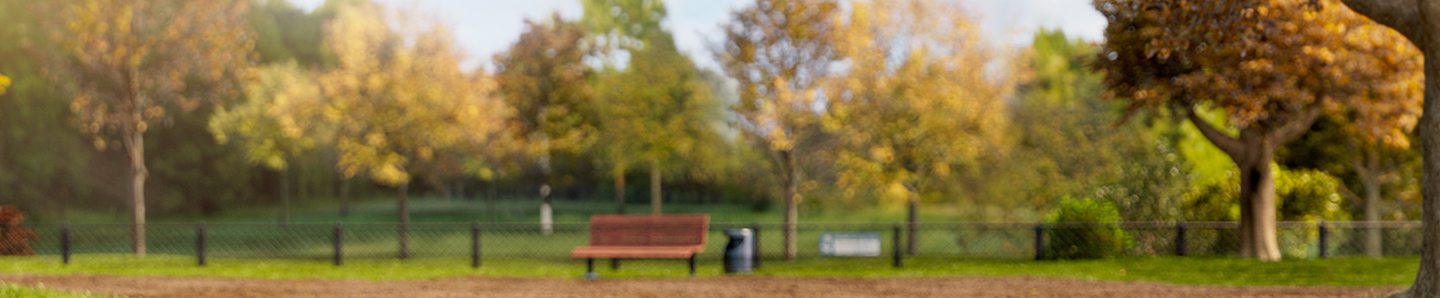 Blurred park scene with a bench and trees.